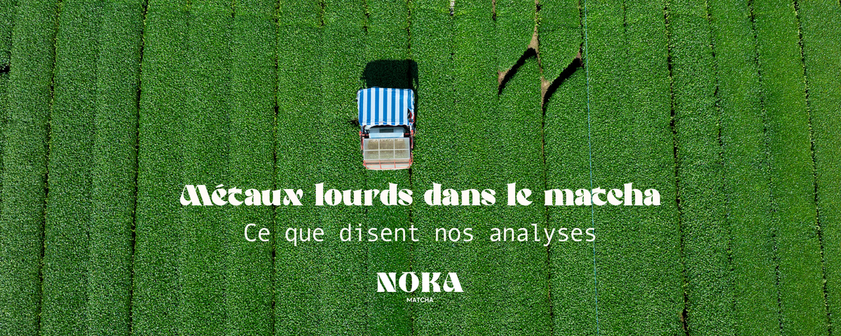 métaux lourds dans le matcha analyse