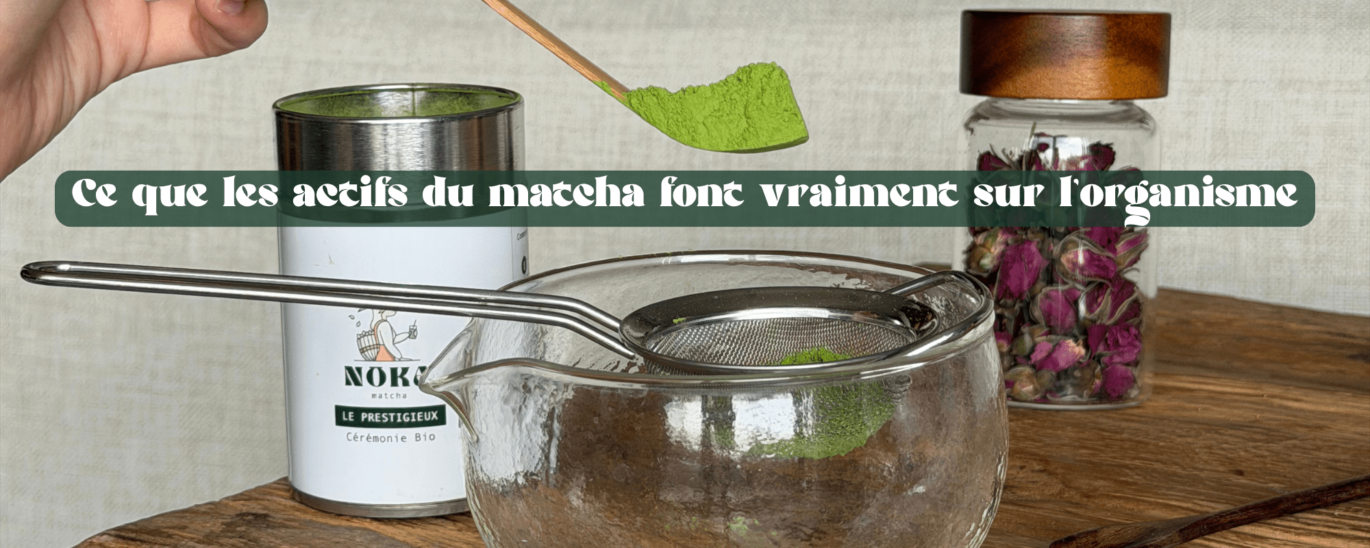 Bienfaits du matcha sur le corps : théanine, catéchines