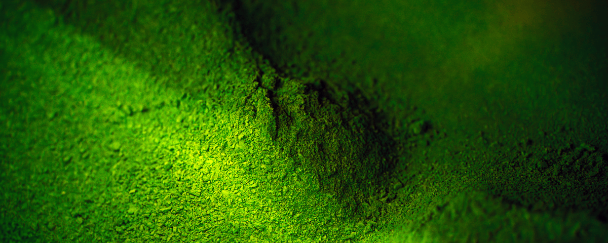 matcha single cultivar et blend