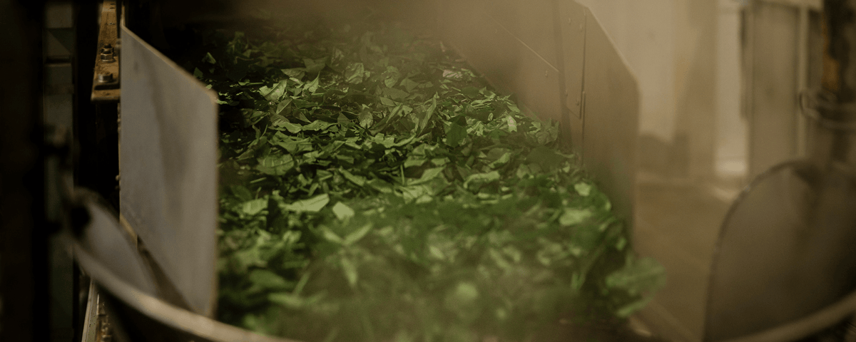 Aluminium dans le matcha : ce qu'il faut savoir