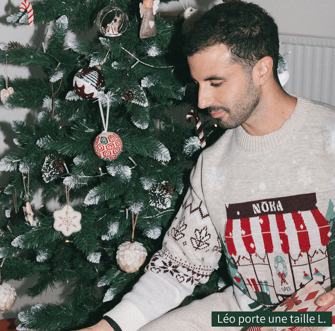 Pull de Noël